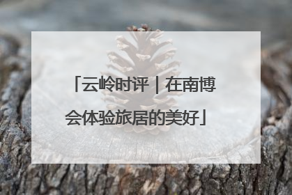 云岭时评｜在南博会体验旅居的美好