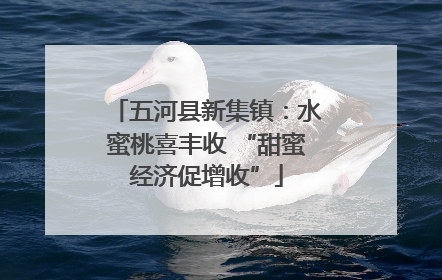 五河县新集镇：水蜜桃喜丰收 “甜蜜经济促增收”