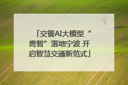 交管AI大模型“鹰智”落地宁波 开启智慧交通新范式