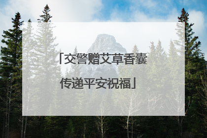 交警赠艾草香囊 传递平安祝福