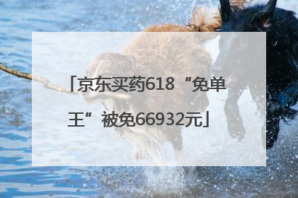 京东买药618“免单王”被免66932元