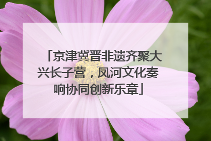 京津冀晋非遗齐聚大兴长子营，凤河文化奏响协同创新乐章