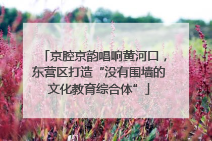 京腔京韵唱响黄河口，东营区打造“没有围墙的文化教育综合体”