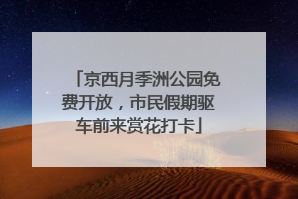 京西月季洲公园免费开放，市民假期驱车前来赏花打卡