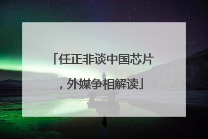 任正非谈中国芯片，外媒争相解读