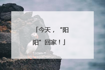 今天，“阳阳”回家！