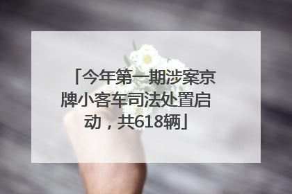 今年第一期涉案京牌小客车司法处置启动，共618辆