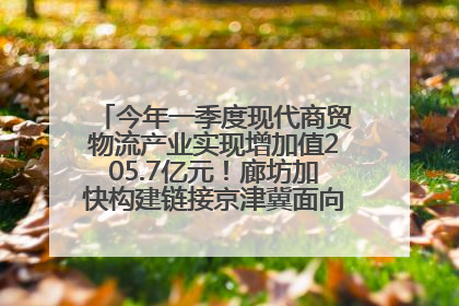 今年一季度现代商贸物流产业实现增加值205.7亿元！廊坊加快构建链接京津冀面向全世界的物流通道