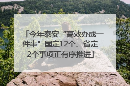 今年泰安“高效办成一件事”国定12个、省定2个事项正有序推进