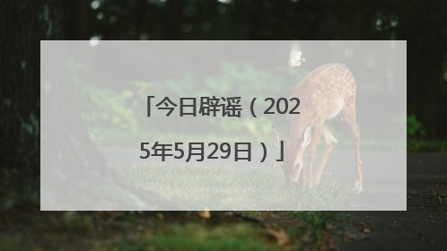 今日辟谣（2025年5月29日）