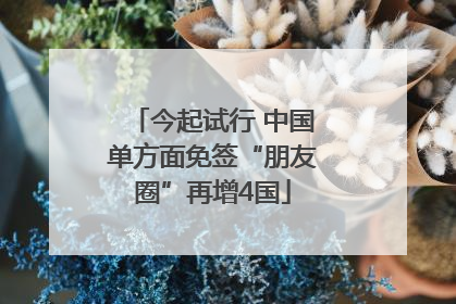 今起试行 中国单方面免签“朋友圈”再增4国