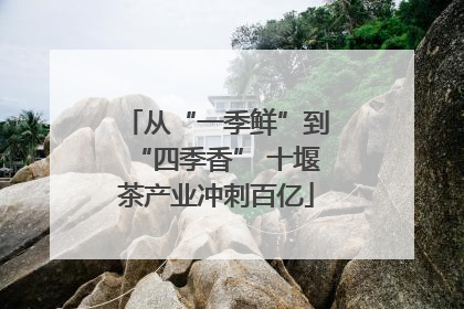 从“一季鲜”到“四季香” 十堰茶产业冲刺百亿