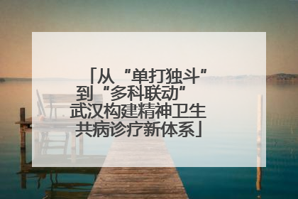 从“单打独斗”到“多科联动” 武汉构建精神卫生共病诊疗新体系