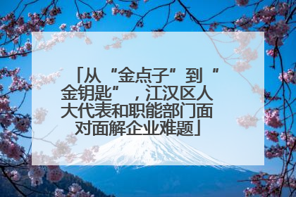从“金点子”到“金钥匙”，江汉区人大代表和职能部门面对面解企业难题