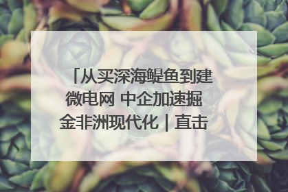 从买深海鳀鱼到建微电网 中企加速掘金非洲现代化｜直击中非经贸博览会