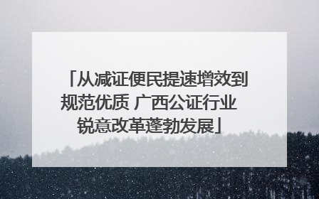 从减证便民提速增效到规范优质 广西公证行业锐意改革蓬勃发展