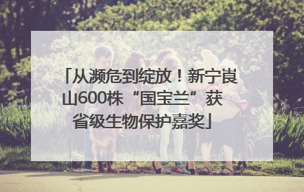 从濒危到绽放！新宁崀山600株“国宝兰”获省级生物保护嘉奖