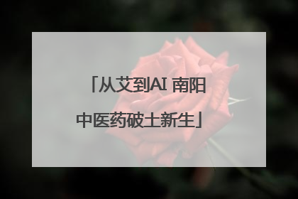 从艾到AI 南阳中医药破土新生