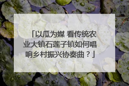 以瓜为媒 看传统农业大镇石莲子镇如何唱响乡村振兴协奏曲？