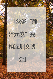 众多“菏泽元素”亮相深圳文博会