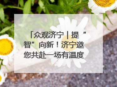 众观济宁｜提“智”向新！济宁邀您共赴一场有温度、有底气的“智造”之约