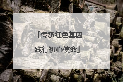 传承红色基因 践行初心使命