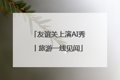 友谊关上演AI秀丨旅游一线见闻