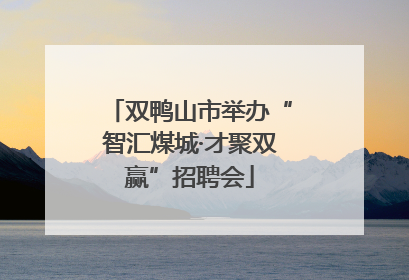 双鸭山市举办“智汇煤城·才聚双赢”招聘会