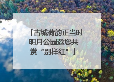 古城荷韵正当时 明月公园邀您共赏“别样红”
