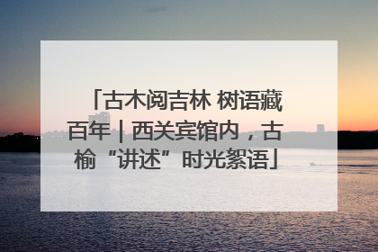 古木阅吉林 树语藏百年｜西关宾馆内，古榆“讲述”时光絮语