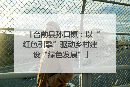 台前县孙口镇：以“红色引擎”驱动乡村建设“绿色发展”