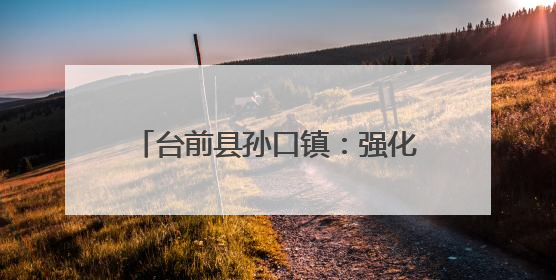 台前县孙口镇：强化村务监督管理工作 推动基层治理高效能