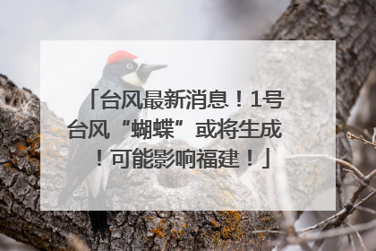 台风最新消息！1号台风“蝴蝶”或将生成！可能影响福建！