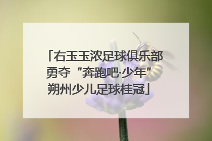 右玉玉浓足球俱乐部勇夺“奔跑吧·少年”朔州少儿足球桂冠