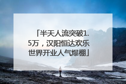 半天人流突破1.5万，汉阳恒达欢乐世界开业人气爆棚