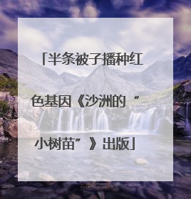 半条被子播种红色基因《沙洲的“小树苗”》出版