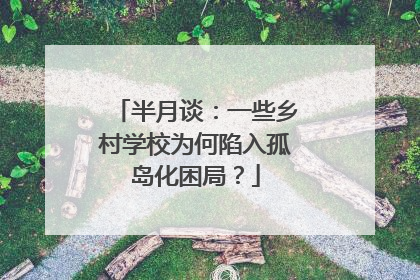 半月谈：一些乡村学校为何陷入孤岛化困局？