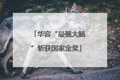 华容“最强大脑”斩获国家金奖