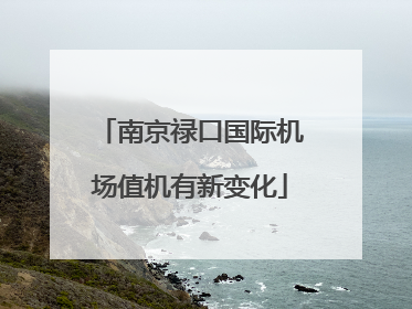 南京禄口国际机场值机有新变化