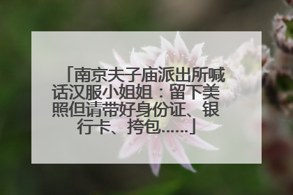 南京夫子庙派出所喊话汉服小姐姐：留下美照但请带好身份证、银行卡、挎包……
