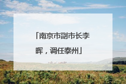 南京市副市长李晖，调任泰州