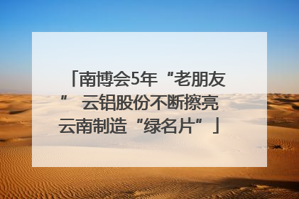南博会5年“老朋友” 云铝股份不断擦亮云南制造“绿名片”