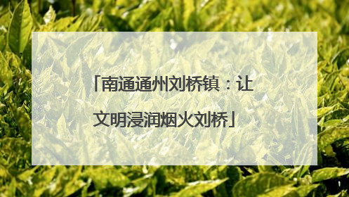 南通通州刘桥镇：让文明浸润烟火刘桥