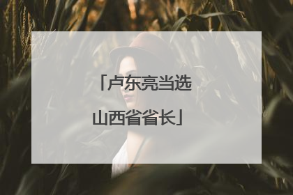 卢东亮当选山西省省长