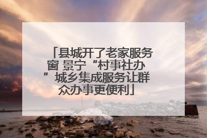 县城开了老家服务窗 景宁“村事社办”城乡集成服务让群众办事更便利