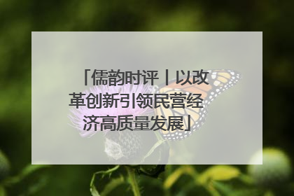 儒韵时评丨以改革创新引领民营经济高质量发展