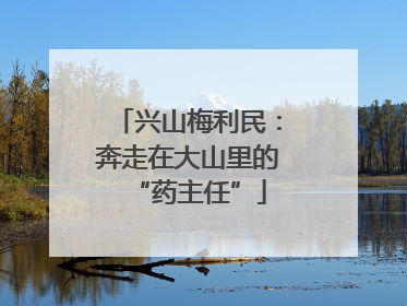 兴山梅利民：奔走在大山里的“药主任”