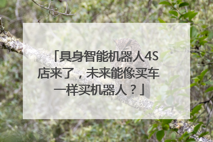 具身智能机器人4S店来了，未来能像买车一样买机器人？
