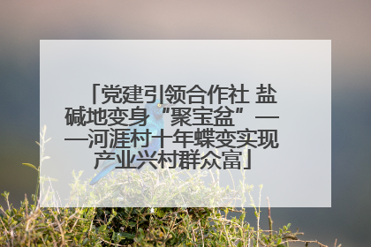 党建引领合作社 盐碱地变身“聚宝盆”——河涯村十年蝶变实现产业兴村群众富