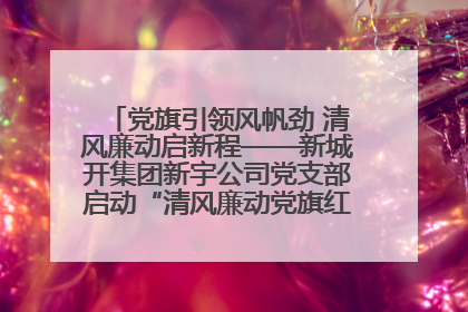 党旗引领风帆劲 清风廉动启新程——新城开集团新宇公司党支部启动“清风廉动党旗红”系列活动